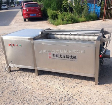 红薯清洗机